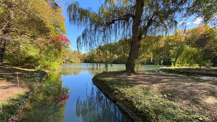 Dufferin Island Loop Trail